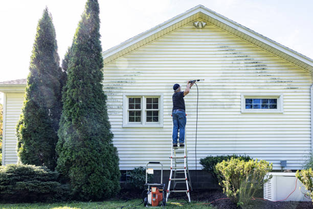Best Roof Pressure Washing  in Heeia, HI
